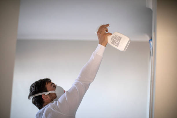 Best Residential Mold Removal  in Exmore, VA