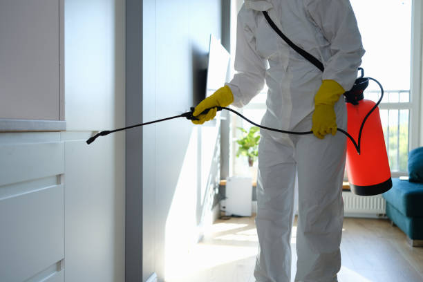 Best Toxic Mold Removal  in Exmore, VA