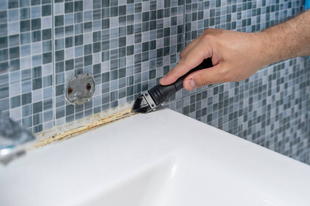 Best Mold Damage Repair  in Exmore, VA
